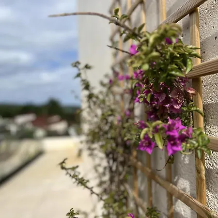 Apartamento Mirador De Comillas *